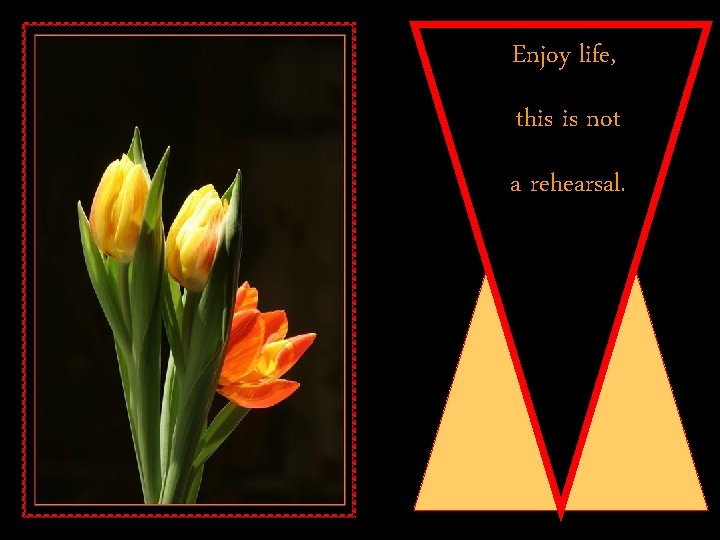 Enjoy life, this is not a rehearsal. 