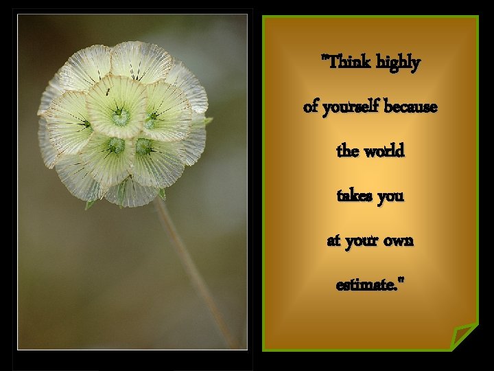 "Think highly of yourself because the world takes you at your own estimate. "