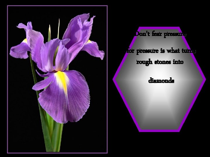 Don't fear pressure for pressure is what turns rough stones into diamonds 