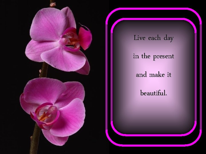 Live each day in the present and make it beautiful. 