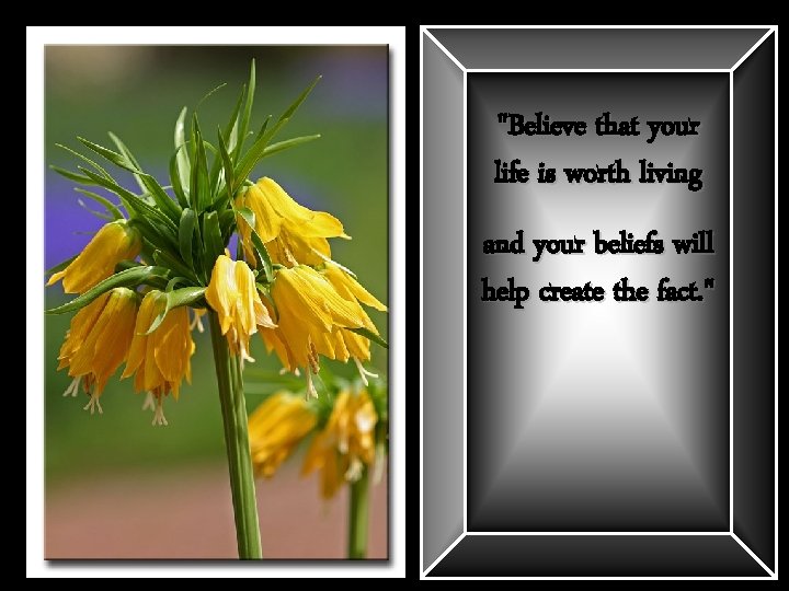 "Believe that your life is worth living and your beliefs will help create the