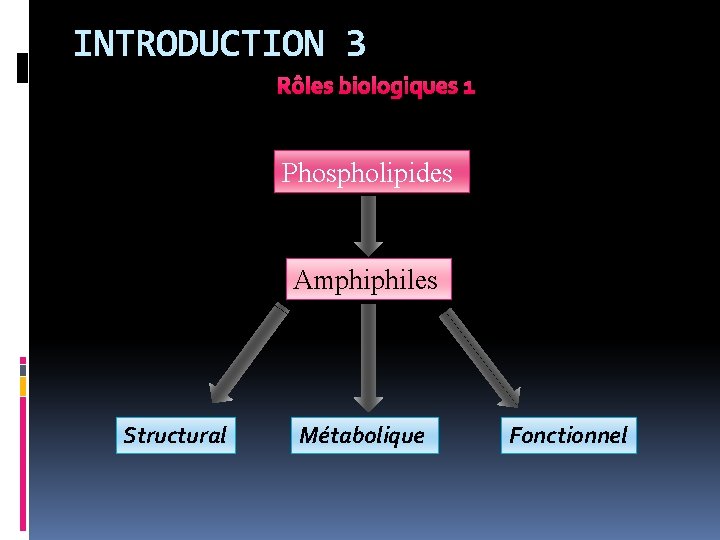 INTRODUCTION 3 Rôles biologiques 1 Phospholipides Amphiphiles Structural Métabolique Fonctionnel 
