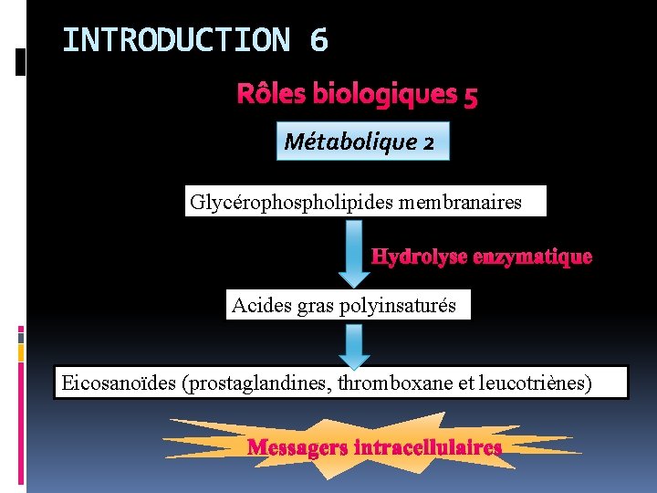 INTRODUCTION 6 Rôles biologiques 5 Métabolique 2 Glycérophospholipides membranaires Hydrolyse enzymatique Acides gras polyinsaturés