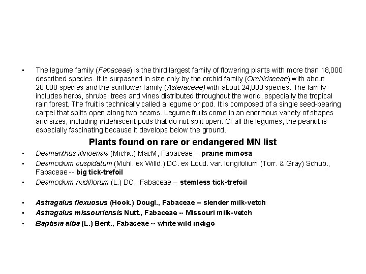  • The legume family (Fabaceae) is the third largest family of flowering plants