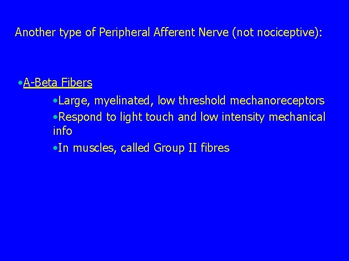 Another type of Peripheral Afferent Nerve (not nociceptive): • A-Beta Fibers • Large, myelinated,