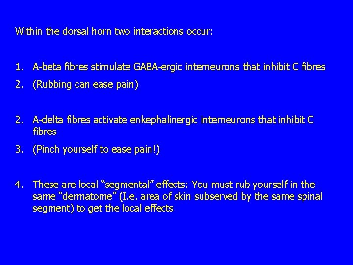 Within the dorsal horn two interactions occur: 1. A-beta fibres stimulate GABA-ergic interneurons that