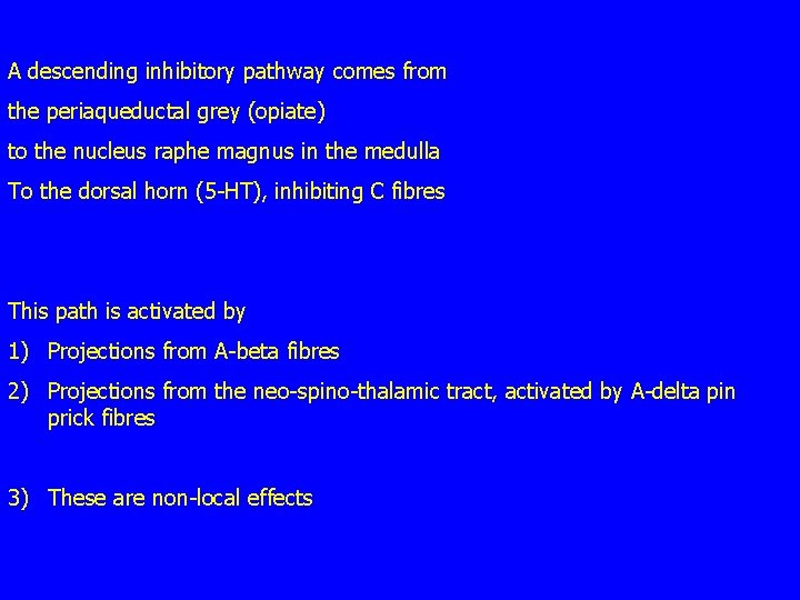 A descending inhibitory pathway comes from the periaqueductal grey (opiate) to the nucleus raphe