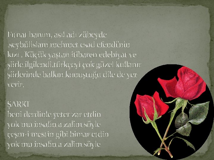 Fıtnat hanım, asıl adı zübeyde . seyhülislam mehmet esad efendi’nin kızı. Küçük yaştan itibaren