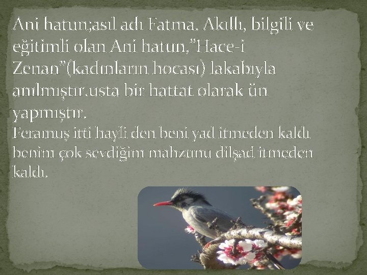 Ani hatun; asıl adı Fatma. Akıllı, bilgili ve eğitimli olan Ani hatun, ”Hace-i Zenan”(kadınların