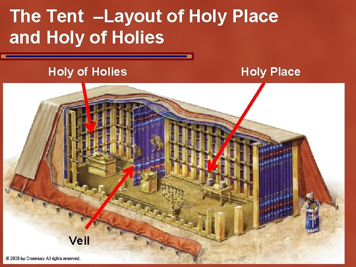 The Tent –Layout of Holy Place and Holy of Holies Veil Holy Place 25