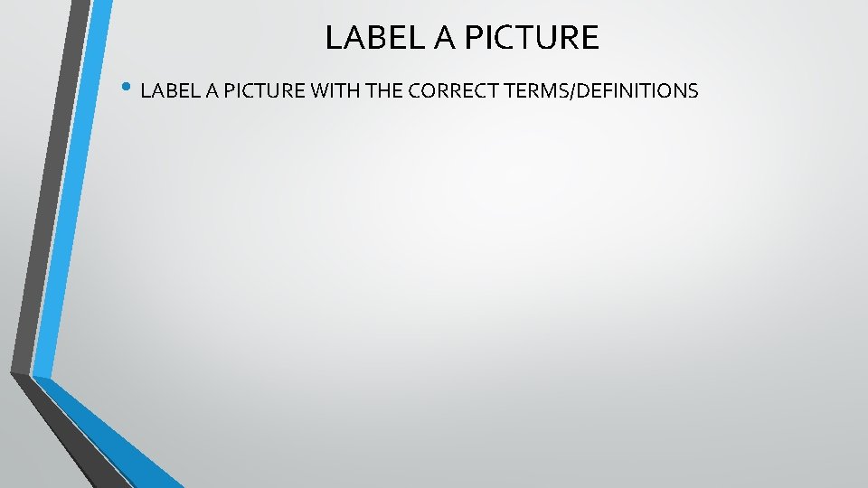 LABEL A PICTURE • LABEL A PICTURE WITH THE CORRECT TERMS/DEFINITIONS 