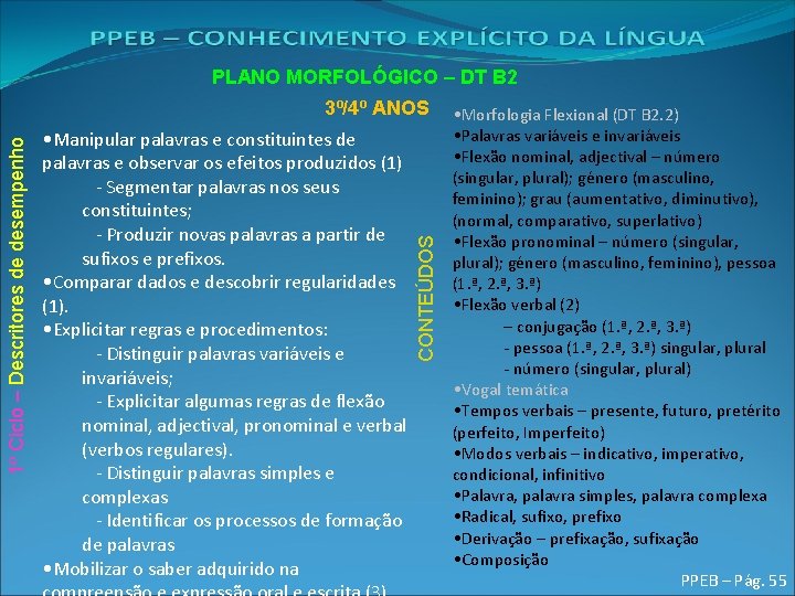 PLANO MORFOLÓGICO – DT B 2 • Manipular palavras e constituintes de palavras e