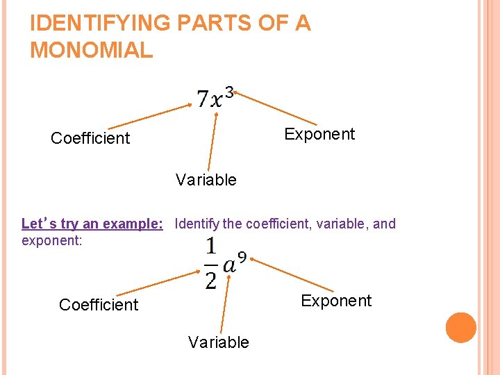 IDENTIFYING PARTS OF A MONOMIAL Exponent Coefficient Variable Let’s try an example: Identify the