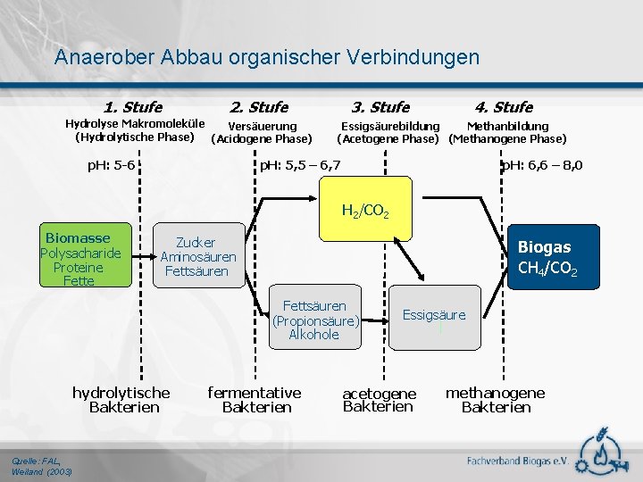 Anaerober Abbau organischer Verbindungen 1. Stufe 2. Stufe Hydrolyse Makromoleküle Versäuerung (Hydrolytische Phase) (Acidogene