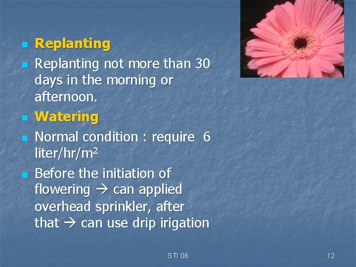 n n n Replanting not more than 30 days in the morning or afternoon.
