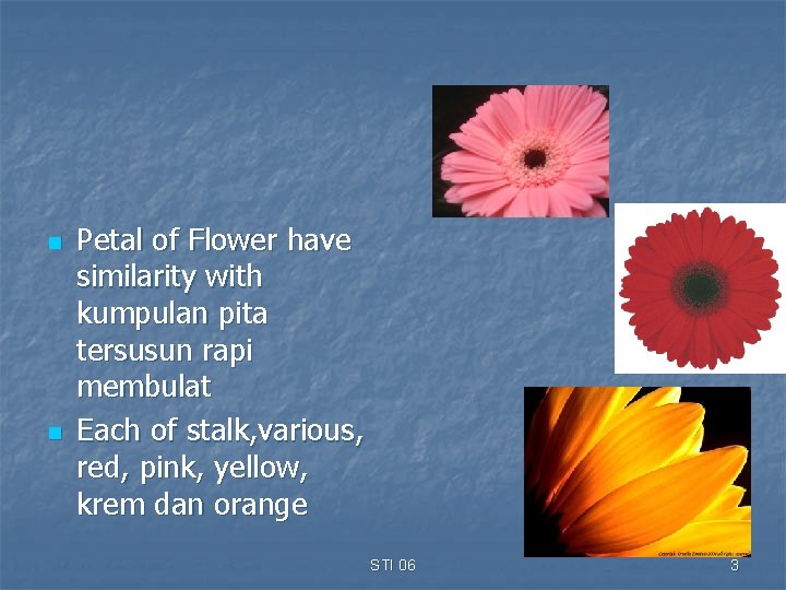 n n Petal of Flower have similarity with kumpulan pita tersusun rapi membulat Each