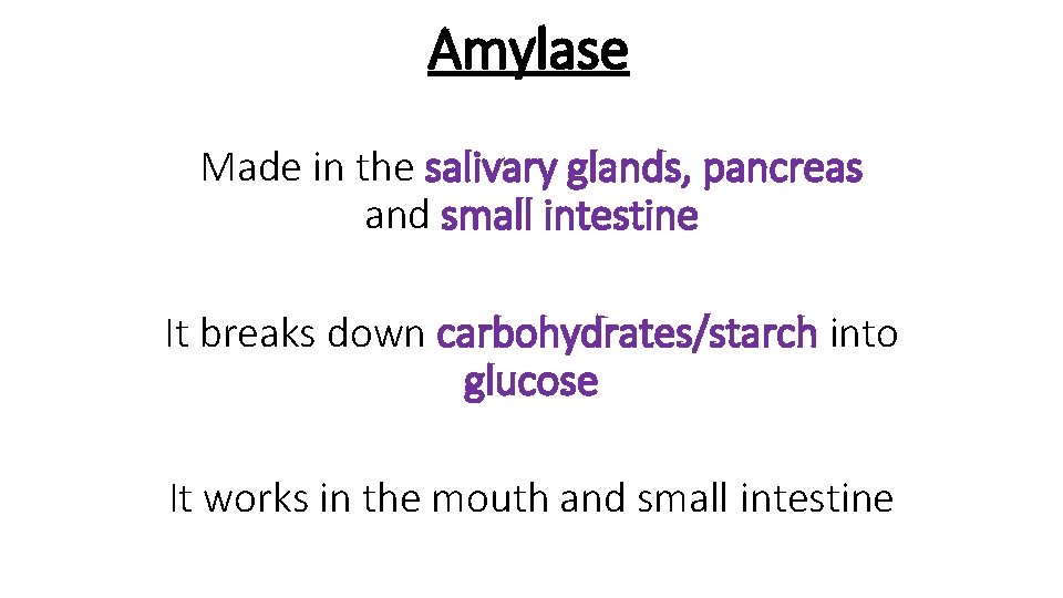 Amylase Made in the salivary glands, pancreas and small intestine It breaks down carbohydrates/starch