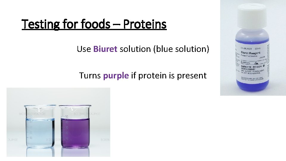 Testing for foods – Proteins Use Biuret solution (blue solution) Turns purple if protein