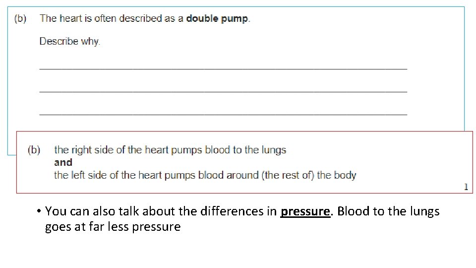  • You can also talk about the differences in pressure. Blood to the