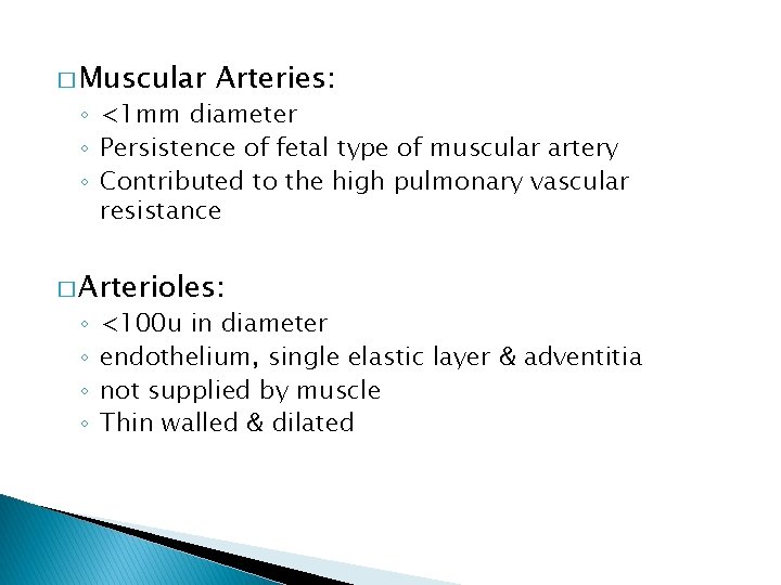 � Muscular Arteries: ◦ <1 mm diameter ◦ Persistence of fetal type of muscular