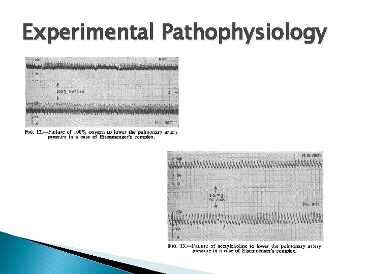 Experimental Pathophysiology 