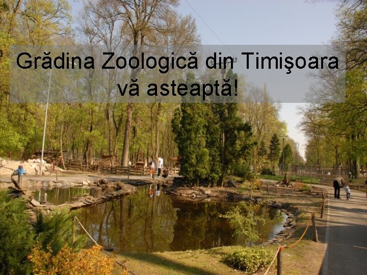 Grădina Zoologică din Timişoara vă asteaptă! 