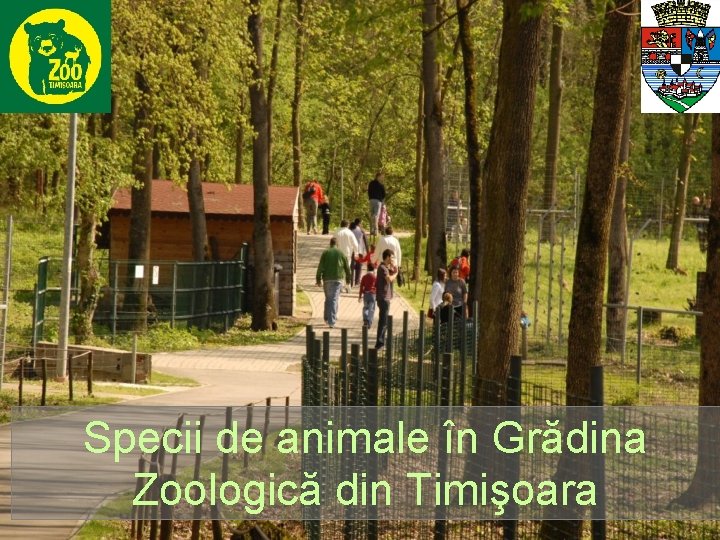 Specii de animale în Grădina Zoologică din Timişoara 
