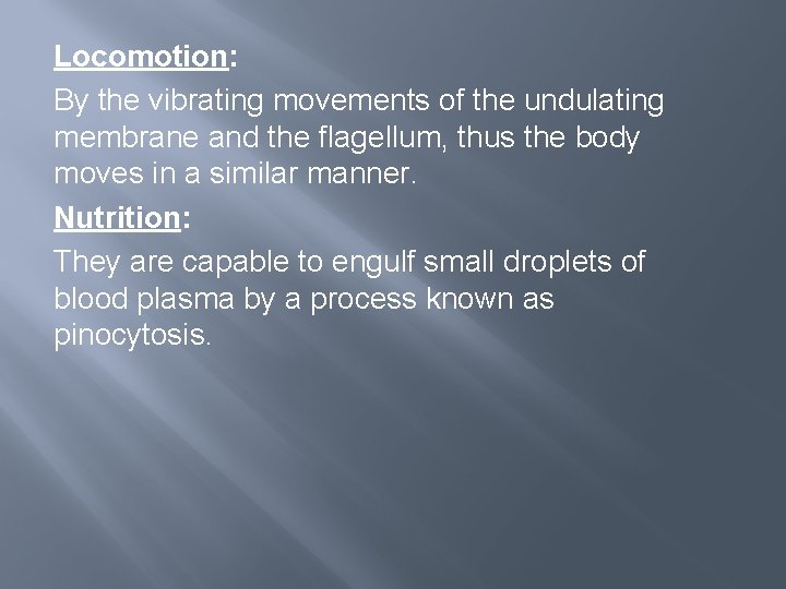 Locomotion: By the vibrating movements of the undulating membrane and the flagellum, thus the