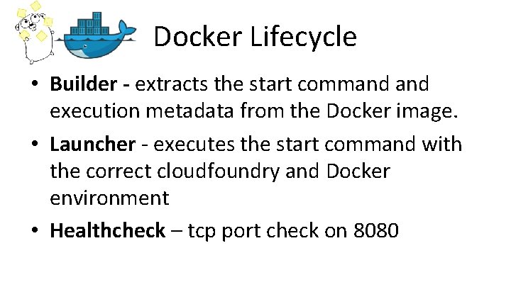 Docker Lifecycle • Builder - extracts the start command execution metadata from the Docker