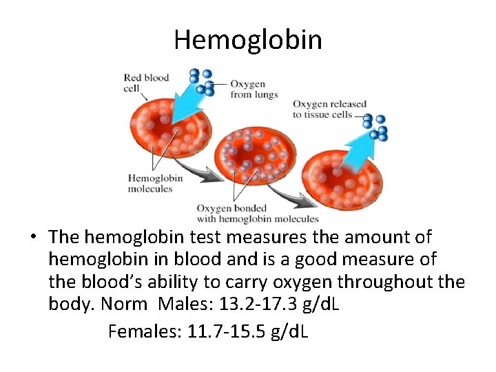 Hemoglobin • The hemoglobin test measures the amount of hemoglobin in blood and is