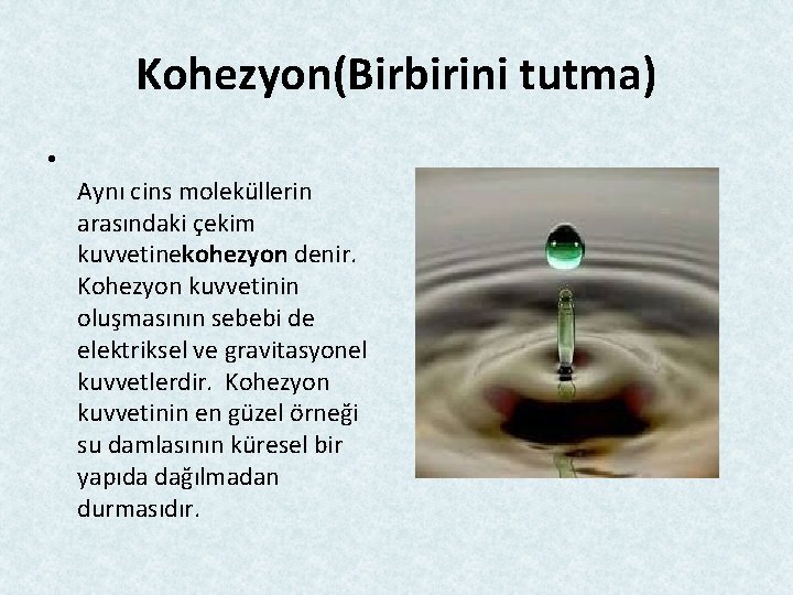 Kohezyon(Birbirini tutma) • Aynı cins moleküllerin arasındaki çekim kuvvetinekohezyon denir. Kohezyon kuvvetinin oluşmasının sebebi