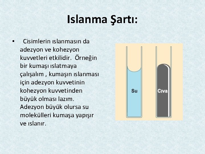 Islanma Şartı: • Cisimlerin ıslanmasın da adezyon ve kohezyon kuvvetleri etkilidir. Örneğin bir kumaşı