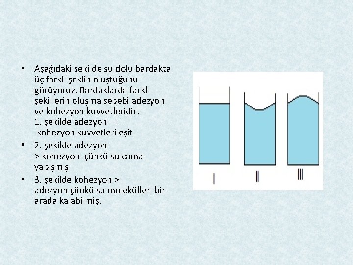  • Aşağıdaki şekilde su dolu bardakta üç farklı şeklin oluştuğunu görüyoruz. Bardaklarda farklı