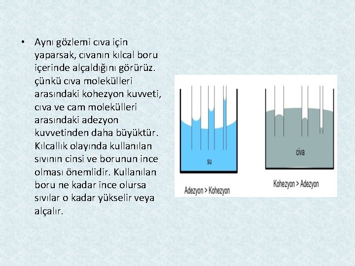  • Aynı gözlemi cıva için yaparsak, cıvanın kılcal boru içerinde alçaldığını görürüz. çünkü