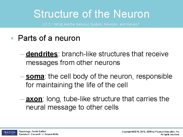 Structure of the Neuron LO 2. 1 What Are the Nervous System, Neurons, and