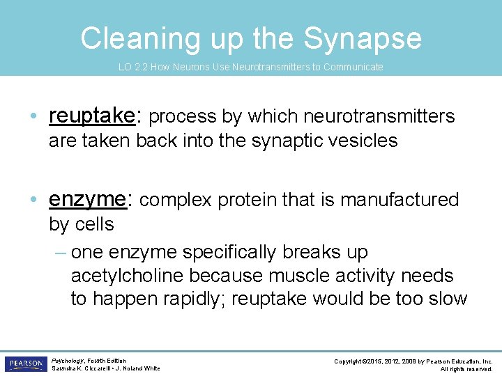 Cleaning up the Synapse LO 2. 2 How Neurons Use Neurotransmitters to Communicate •