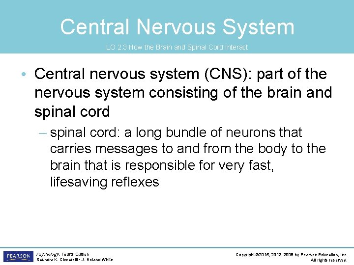 Central Nervous System LO 2. 3 How the Brain and Spinal Cord Interact •