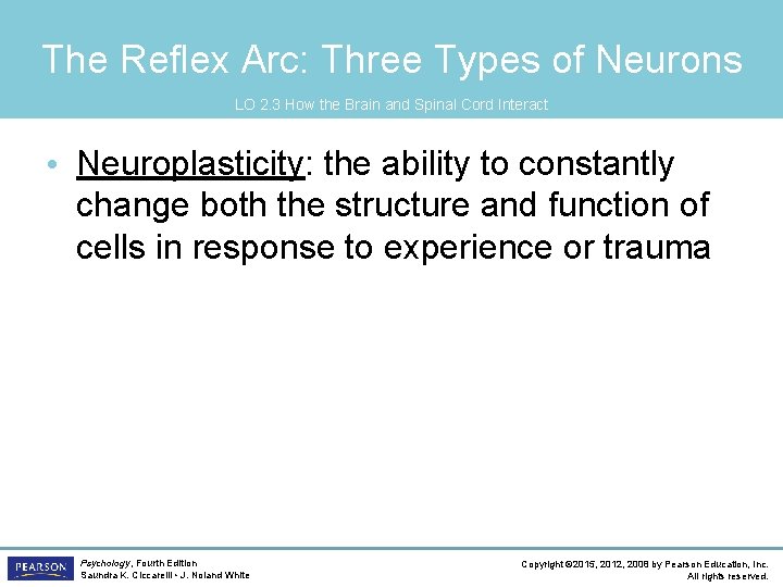 The Reflex Arc: Three Types of Neurons LO 2. 3 How the Brain and
