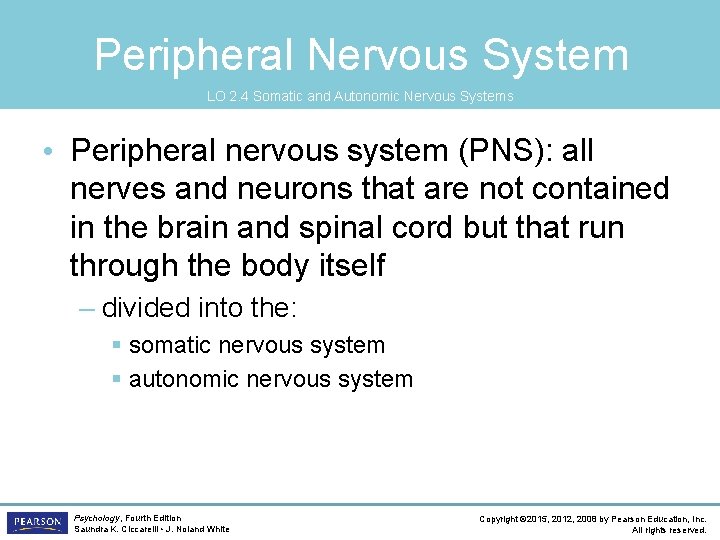 Peripheral Nervous System LO 2. 4 Somatic and Autonomic Nervous Systems • Peripheral nervous