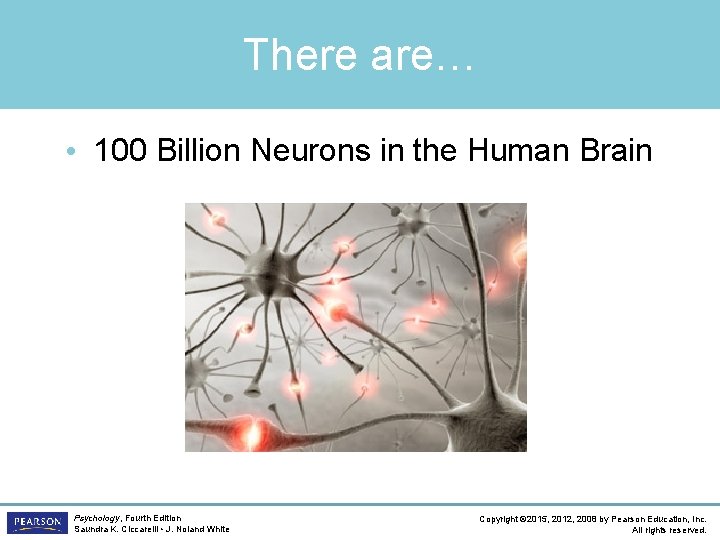 There are… • 100 Billion Neurons in the Human Brain Psychology, Fourth Edition Saundra