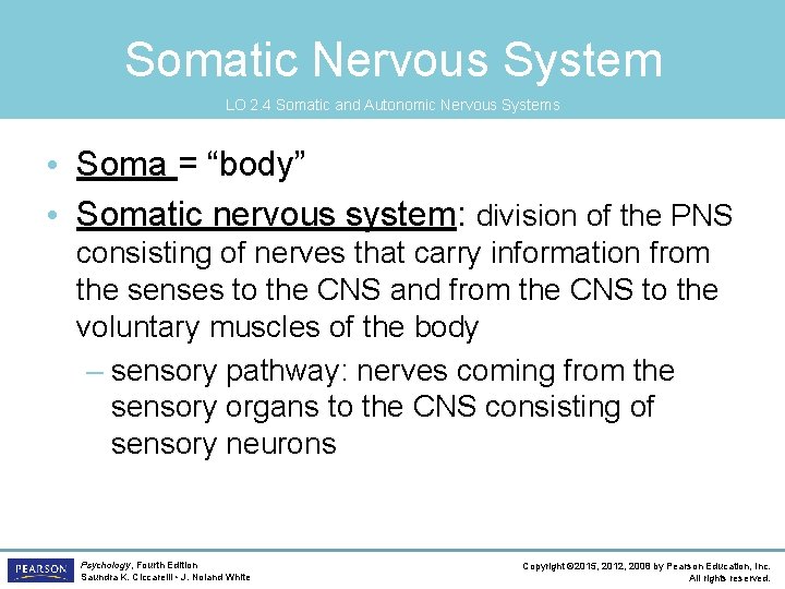 Somatic Nervous System LO 2. 4 Somatic and Autonomic Nervous Systems • Soma =