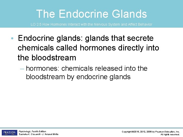 The Endocrine Glands LO 2. 5 How Hormones Interact with the Nervous System and