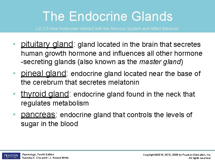 The Endocrine Glands LO 2. 5 How Hormones Interact with the Nervous System and