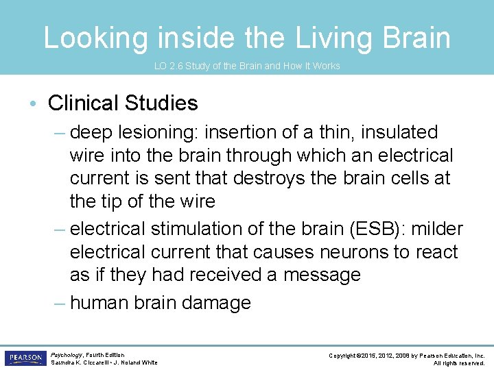 Looking inside the Living Brain LO 2. 6 Study of the Brain and How