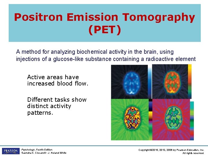 Positron Emission Tomography (PET) A method for analyzing biochemical activity in the brain, using