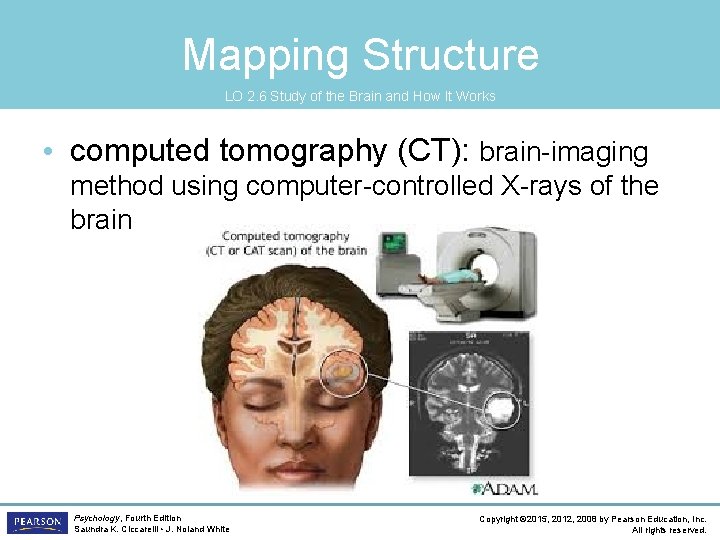 Mapping Structure LO 2. 6 Study of the Brain and How It Works •