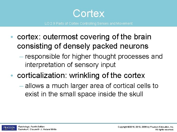 Cortex LO 2. 9 Parts of Cortex Controlling Senses and Movement • cortex: outermost