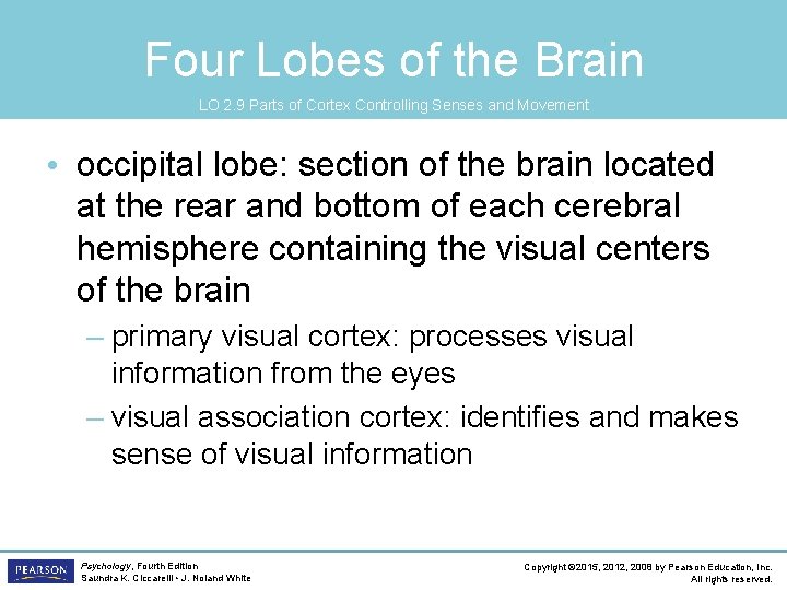 Four Lobes of the Brain LO 2. 9 Parts of Cortex Controlling Senses and