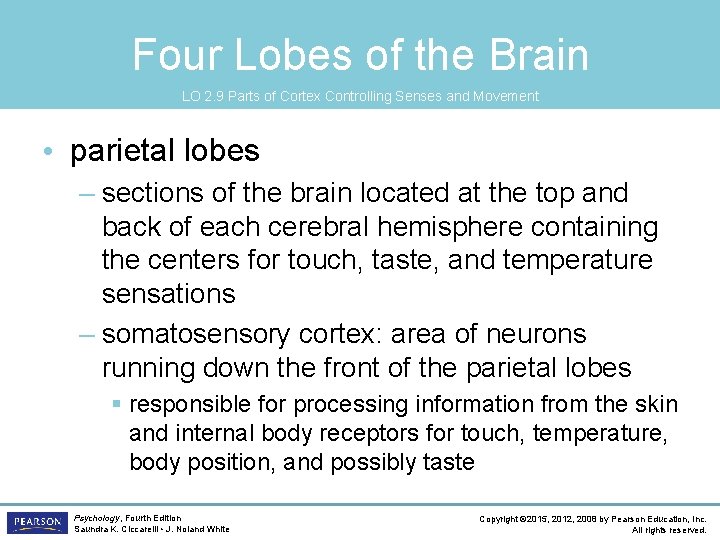 Four Lobes of the Brain LO 2. 9 Parts of Cortex Controlling Senses and