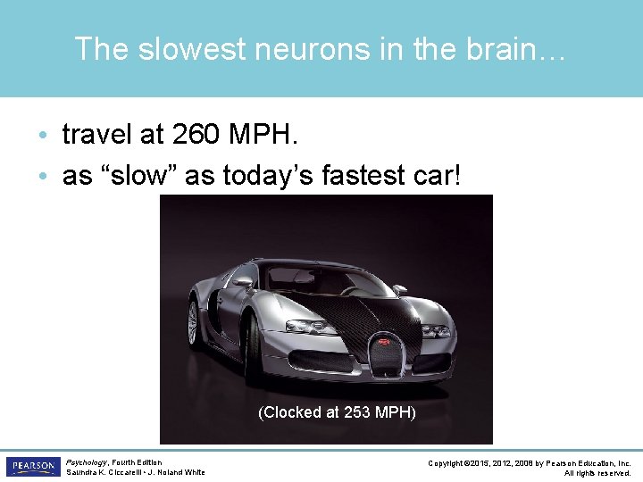 The slowest neurons in the brain… • travel at 260 MPH. • as “slow”
